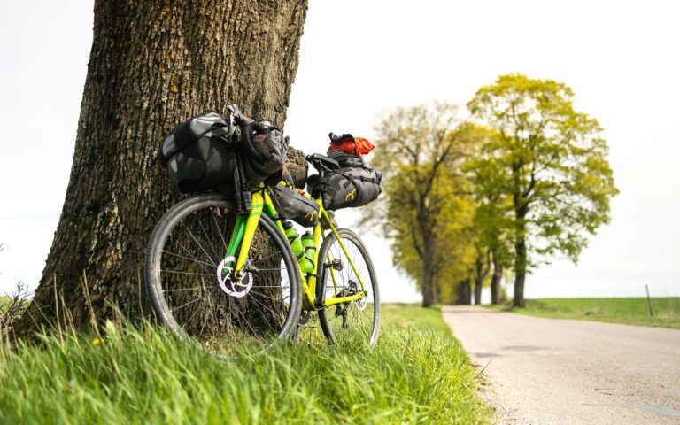 A bicycle with gear rests against a tree on a scenic road, ideal for bikepacking enthusiasts.